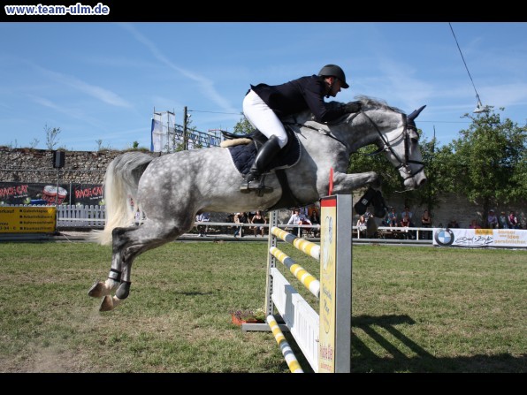 Pfingstturnier Tag 3 @ Elchingen - Bild 100