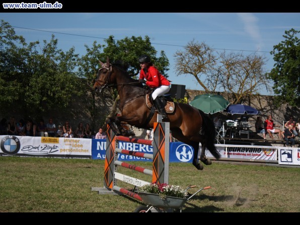 Pfingstturnier Tag 3 @ Elchingen - Bild 102