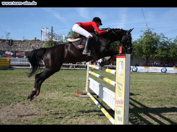 Pfingstturnier Tag 3 @ Elchingen - Bild 104