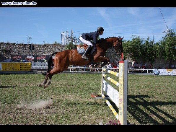 Pfingstturnier Tag 3 @ Elchingen - Bild 107