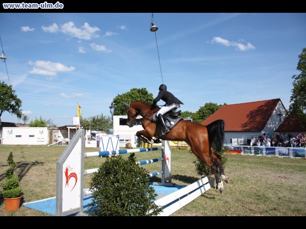 Pfingstturnier Tag 3 @ Elchingen - Bild 110