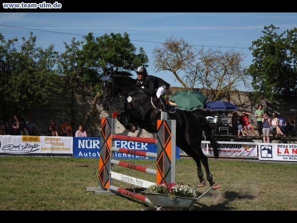 Pfingstturnier Tag 3 @ Elchingen - Bild 111