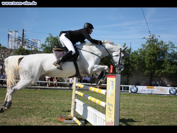 Pfingstturnier Tag 3 @ Elchingen - Bild 112