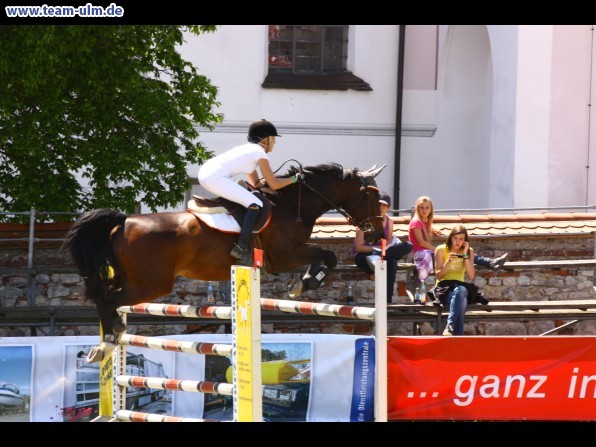 Pfingstturnier Tag 3 @ Elchingen - Bild 137