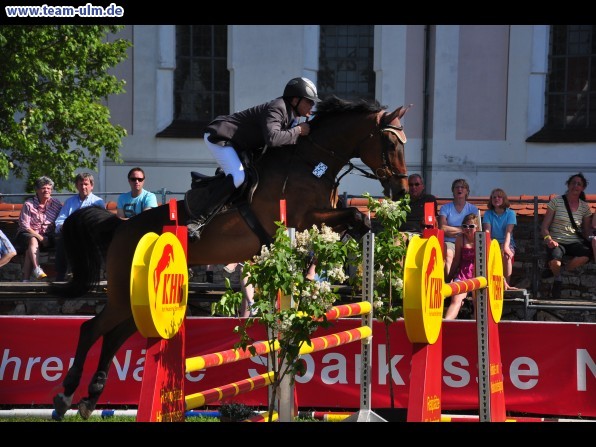 Pfingstturnier Tag 3 @ Elchingen - Bild 15
