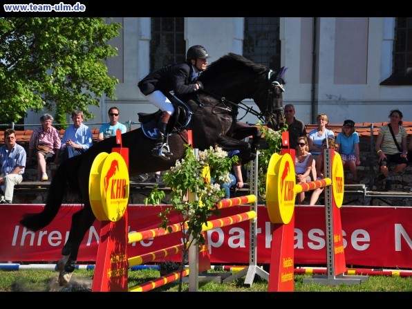 Pfingstturnier Tag 3 @ Elchingen - Bild 18