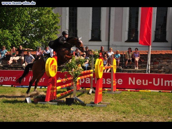 Pfingstturnier Tag 3 @ Elchingen - Bild 2