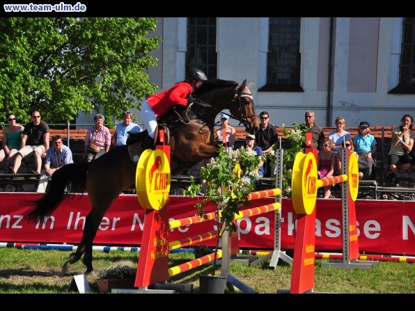 Pfingstturnier Tag 3 @ Elchingen - Bild 28