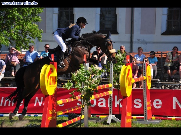 Pfingstturnier Tag 3 @ Elchingen - Bild 29