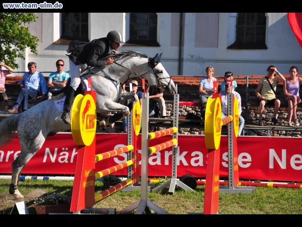 Pfingstturnier Tag 3 @ Elchingen - Bild 38