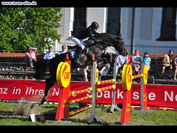 Pfingstturnier Tag 3 @ Elchingen - Bild 41
