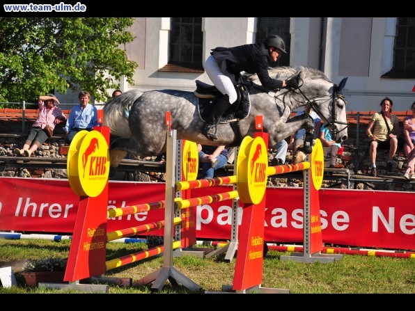 Pfingstturnier Tag 3 @ Elchingen - Bild 43