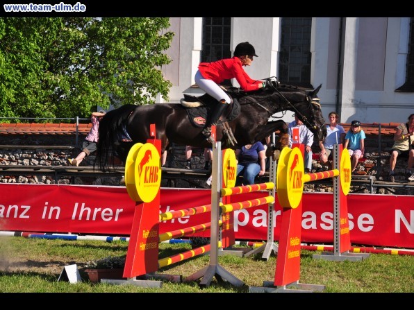 Pfingstturnier Tag 3 @ Elchingen - Bild 45