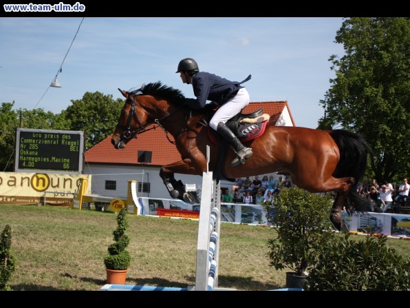 Pfingstturnier Tag 3 @ Elchingen - Bild 70