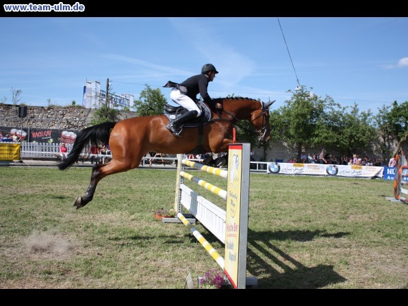 Pfingstturnier Tag 3 @ Elchingen - Bild 71
