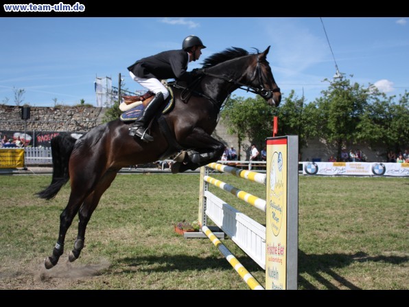 Pfingstturnier Tag 3 @ Elchingen - Bild 73