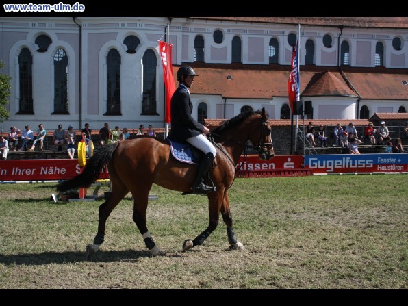 Pfingstturnier Tag 3 @ Elchingen - Bild 76