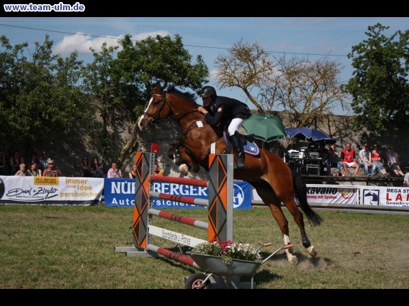 Pfingstturnier Tag 3 @ Elchingen - Bild 79