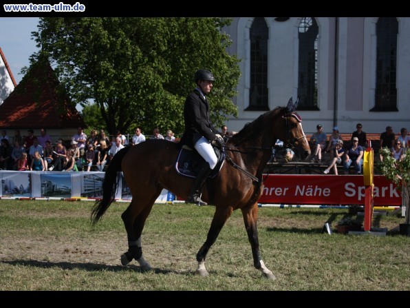 Pfingstturnier Tag 3 @ Elchingen - Bild 86