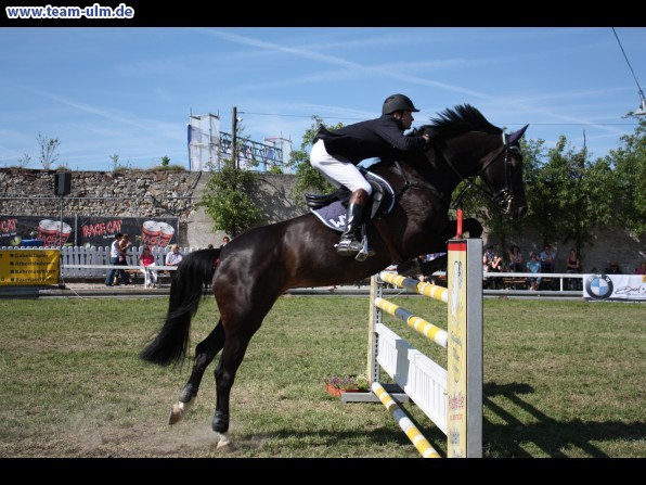 Pfingstturnier Tag 3 @ Elchingen - Bild 87