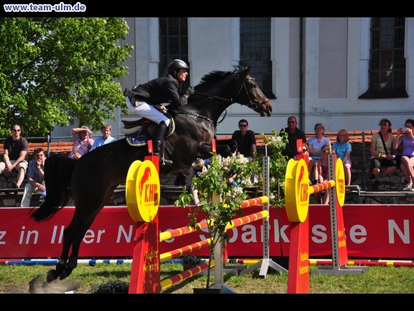 Pfingstturnier Tag 3 @ Elchingen - Bild 9
