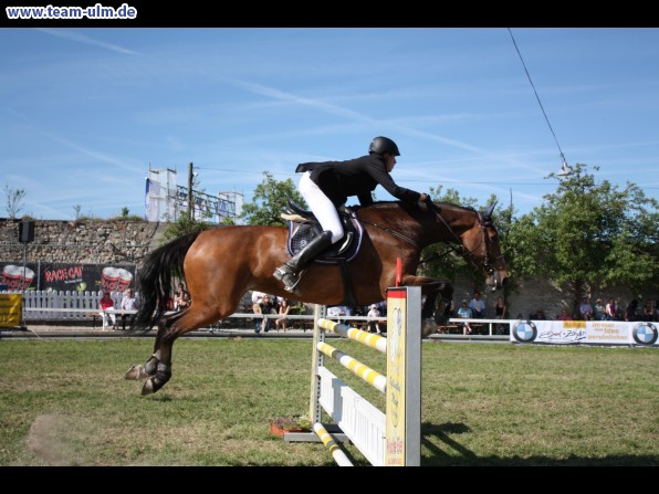 Pfingstturnier Tag 3 @ Elchingen - Bild 90