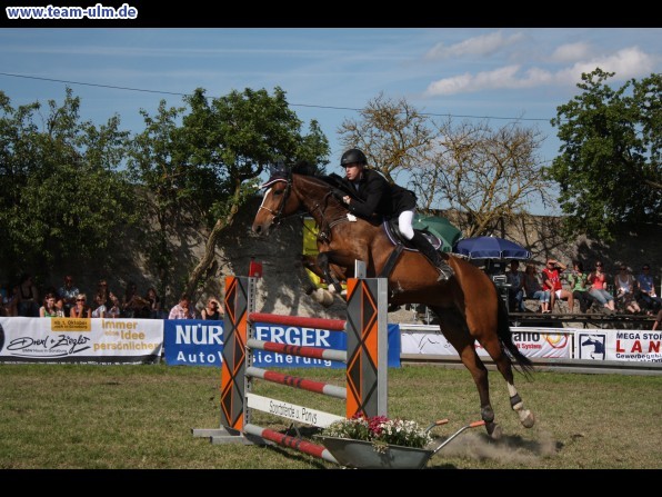 Pfingstturnier Tag 3 @ Elchingen - Bild 91