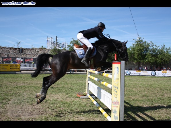 Pfingstturnier Tag 3 @ Elchingen - Bild 92