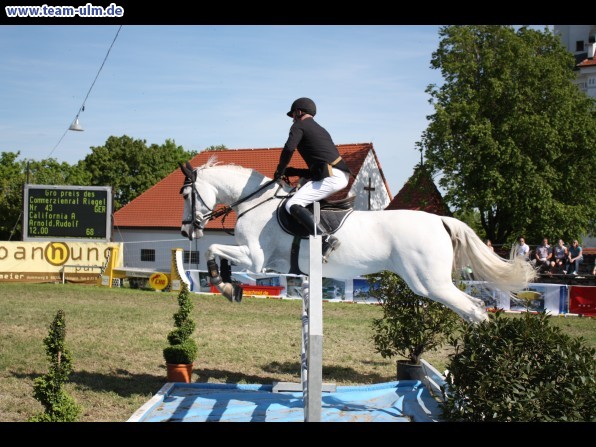 Pfingstturnier Tag 3 @ Elchingen - Bild 97