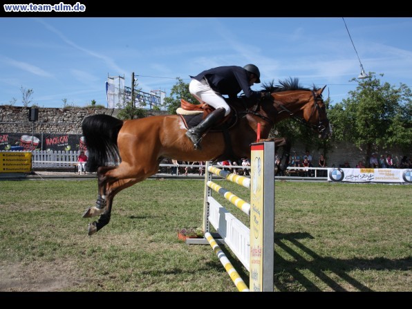 Pfingstturnier Tag 3 @ Elchingen - Bild 98