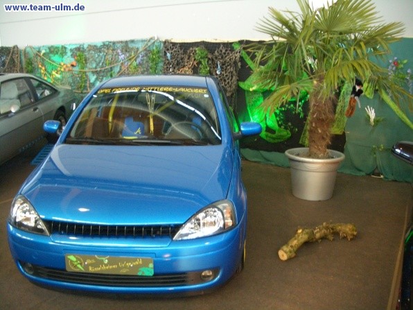 Tuning World Bodensee @ FN-Messe - Bild 131