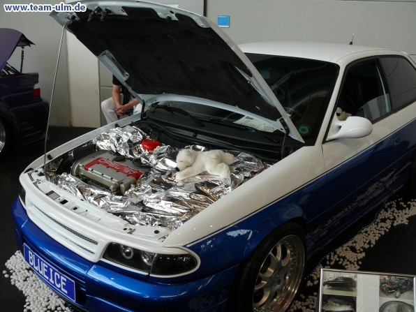 Tuning World Teil 2 @ Friedrichshafen - Bild 297