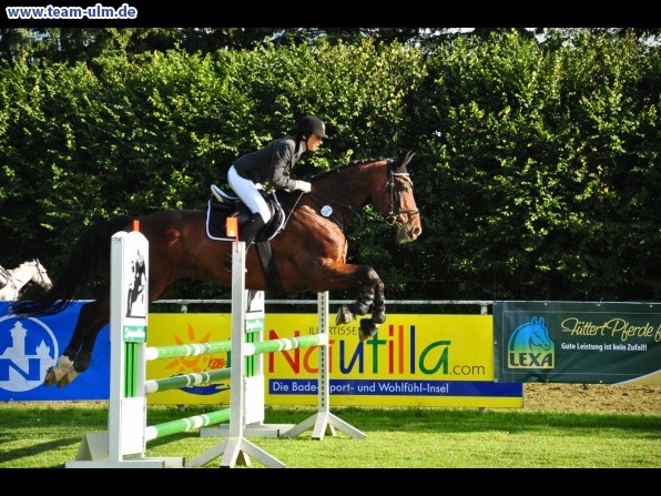 Reitturnier @ Illertissen - Bild 13