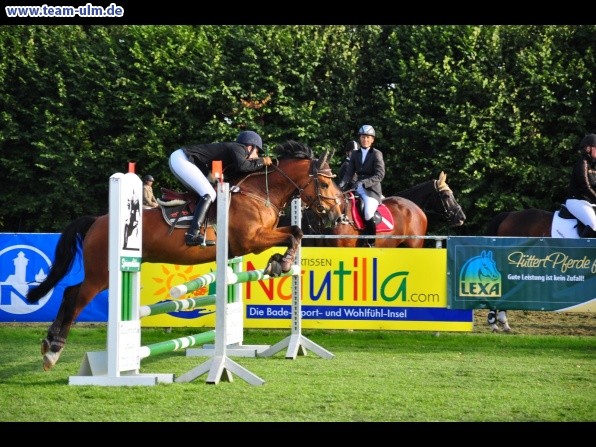 Reitturnier @ Illertissen - Bild 18