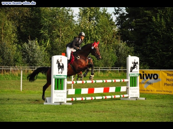 Reitturnier @ Illertissen - Bild 21