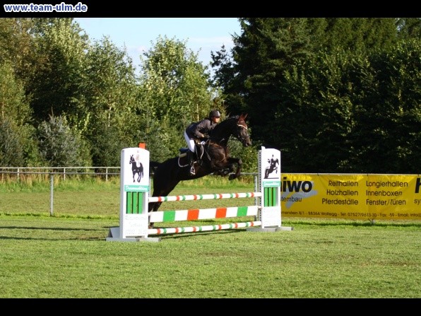 Reitturnier @ Illertissen - Bild 39