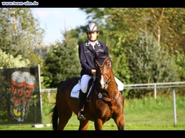 Reitturnier @ Illertissen - Bild 41