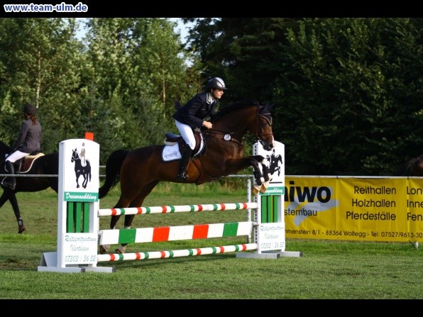 Reitturnier @ Illertissen - Bild 43