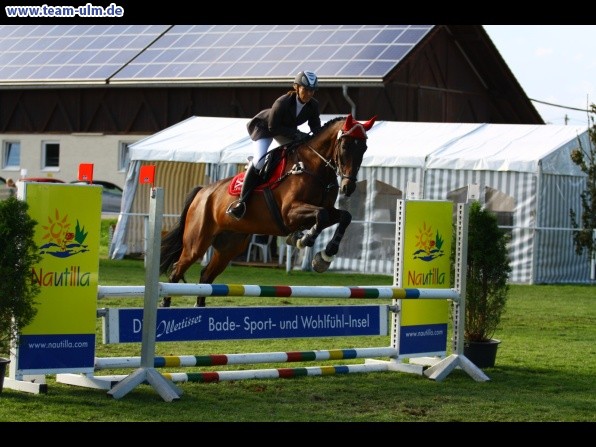 Reitturnier @ Illertissen - Bild 44