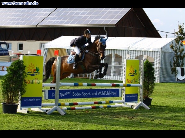 Reitturnier @ Illertissen - Bild 46