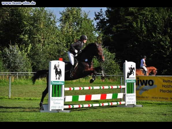 Reitturnier @ Illertissen - Bild 5