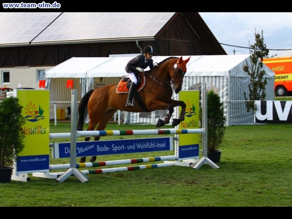 Reitturnier @ Illertissen - Bild 50