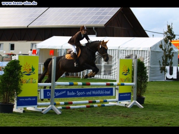 Reitturnier @ Illertissen - Bild 52