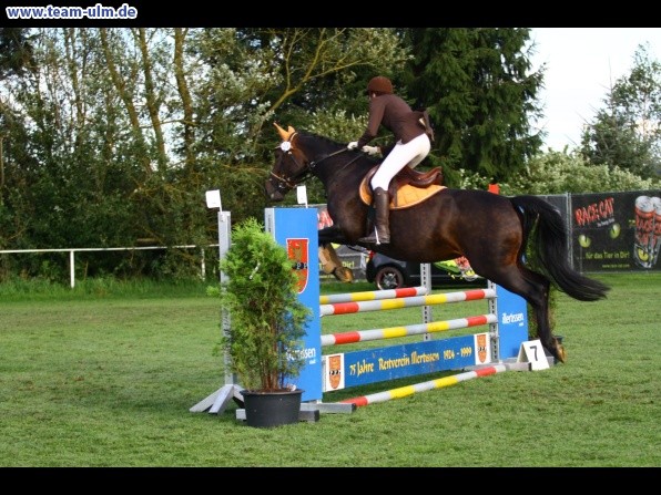 Reitturnier @ Illertissen - Bild 53