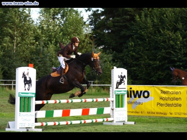 Reitturnier @ Illertissen - Bild 54