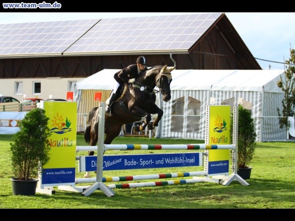 Reitturnier @ Illertissen - Bild 55