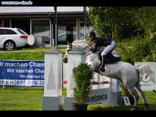 Reitturnier @ Illertissen - Bild 57