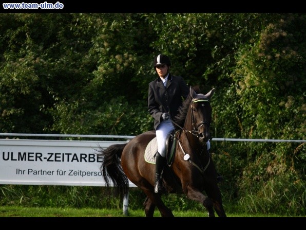 Reitturnier @ Illertissen - Bild 59