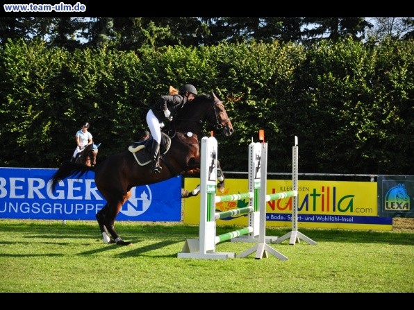 Reitturnier @ Illertissen - Bild 6