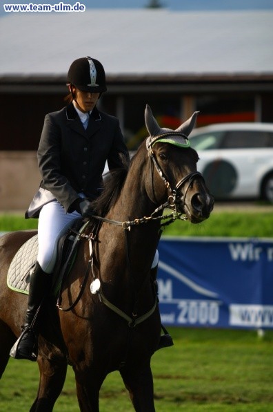 Reitturnier @ Illertissen - Bild 61